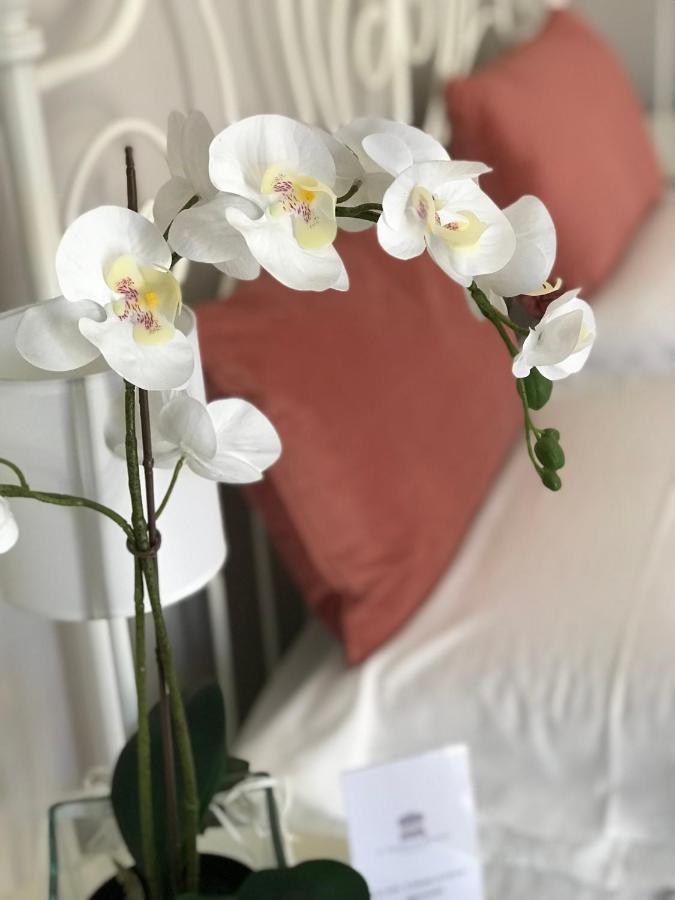 Il Tempio Di Athena - Cultura E Relax A Siracusa Maison d'hôtes